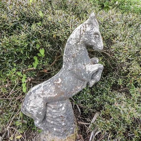 Lilly's Semesterbostad Timoleague